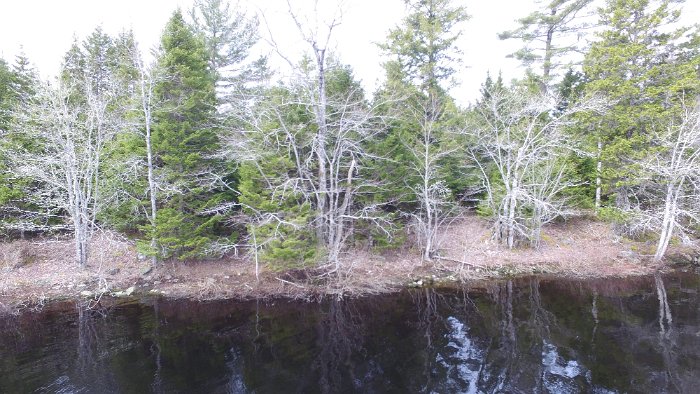 WentworthHalbinsel (75)